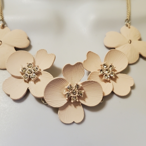 What a cutie - Picture 5 of 5